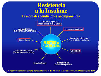 Resistencia insulina adelgazar